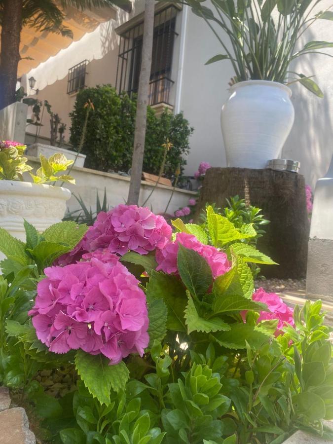 Casa Los Encinares Córdoba Eksteriør billede